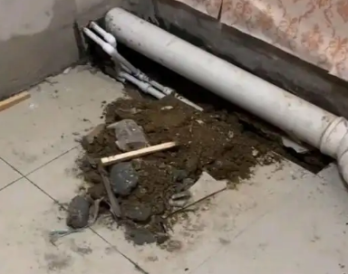 镇宁卫生间漏水检测哪家好