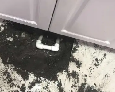 镇宁查漏水哪家好